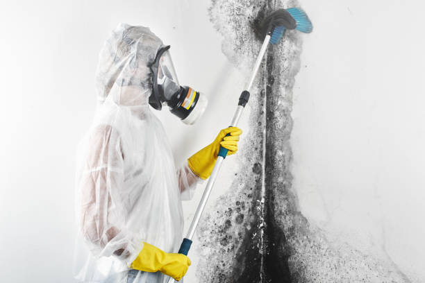Best HVAC Mold Inspection and Cleaning  in Alhambra, CA