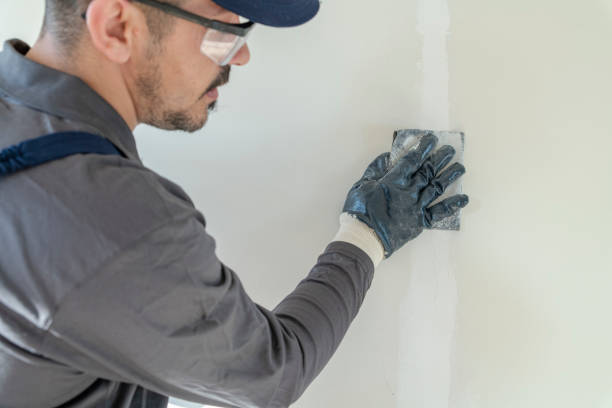 Best Black Mold Removal  in Alhambra, CA