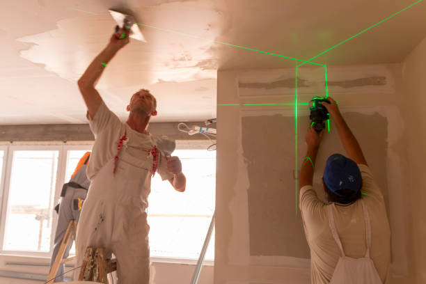Best Basement Mold Removal  in Alhambra, CA